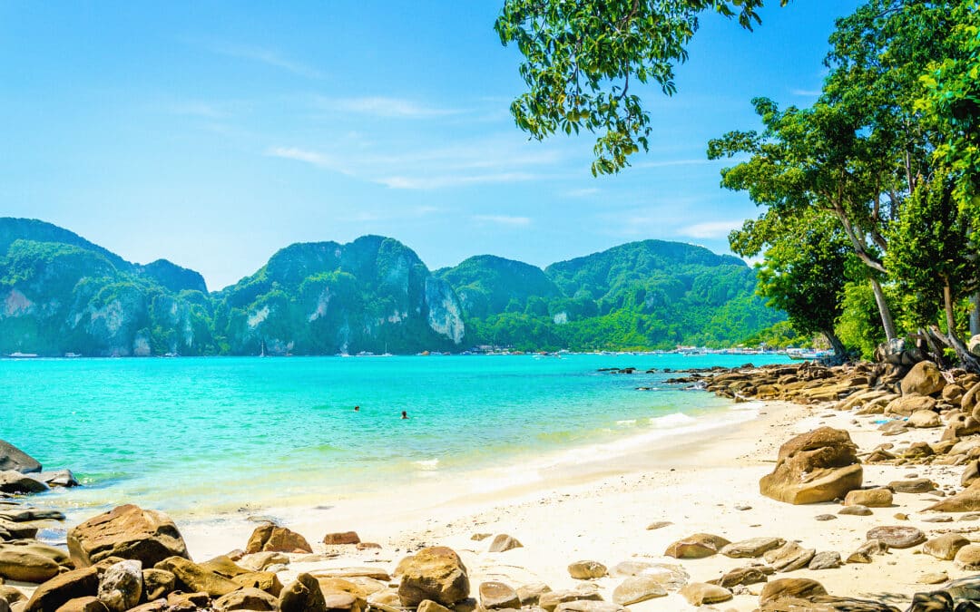 a beach with rocks and trees