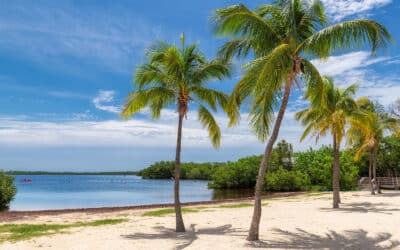 Exciting Key Largo By Elegant Concierge Services